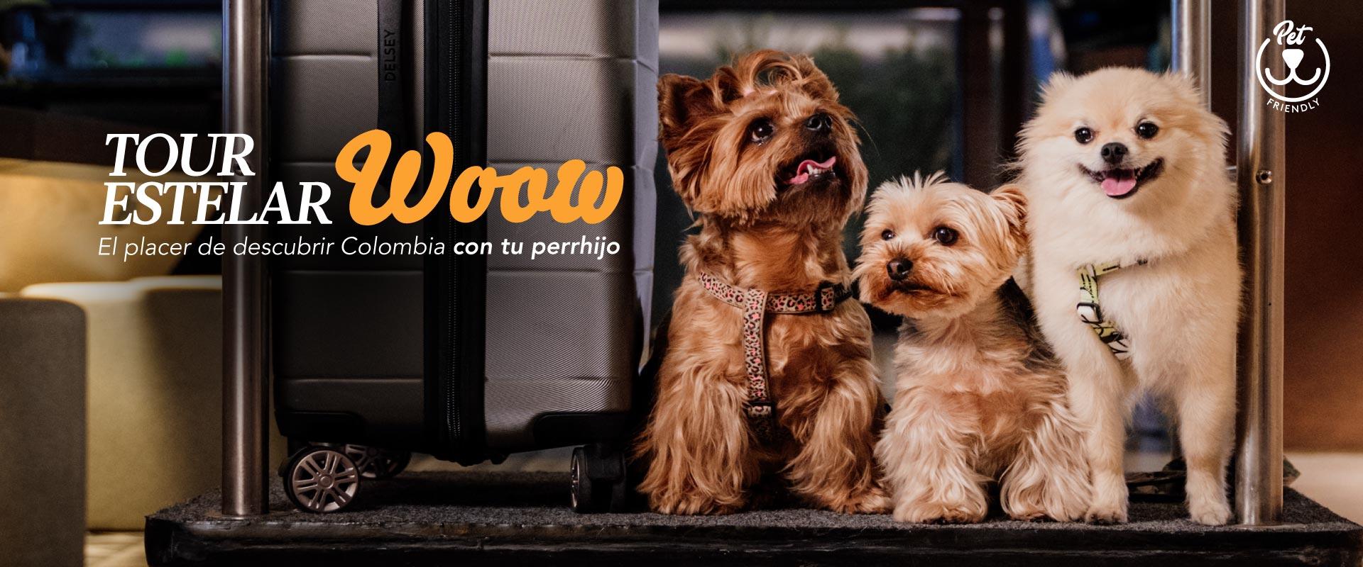 ESTELAR Santamar Hotel & Centro de Convenciones Colombia - Santa Marta ESTELAR Santamar Hotel & Centro de Convenciones Colombia - Santa Marta