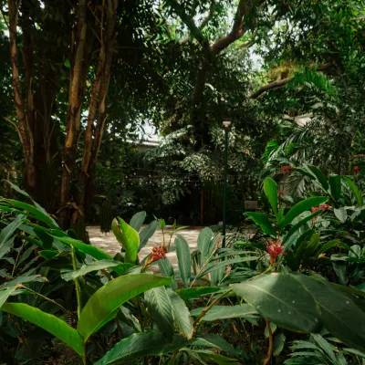 Jardín ESTELAR Santamar Hotel & Centro de Convenciones Colombia - Santa Marta Jardín ESTELAR Santamar Hotel & Centro de Convenciones Colombia - Santa Marta